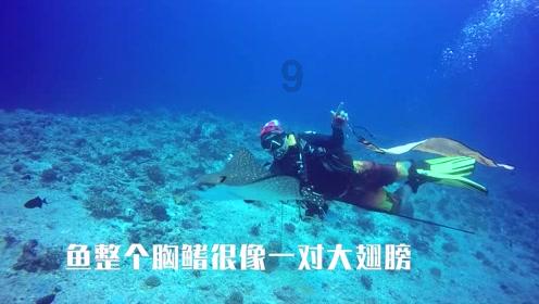 扶摇:当长孙无极的师尊识破了扶摇的身份之后发生了什么事?- 探索全方位的问答社区